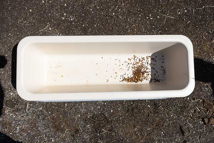 Stand Alone Feed Trough