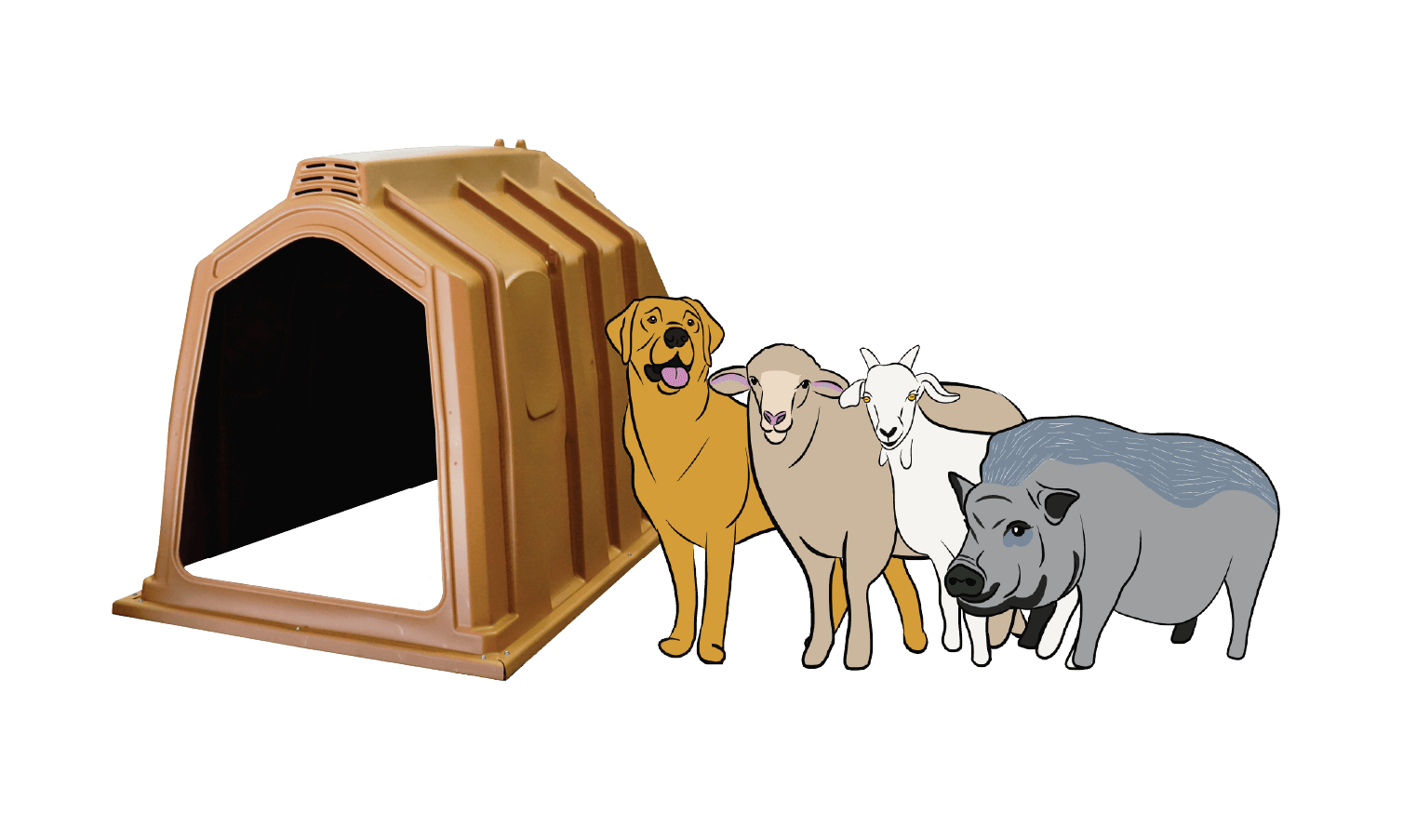 Medium Hut